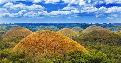 BEST Bohol Tourist Spots & Activities: Chocolate .